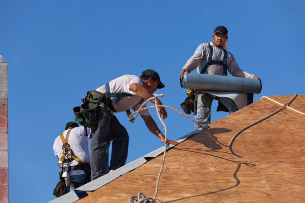 Best Flat Roof Repair Services  in Eagle Lake, MN