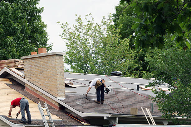 Professional Roofing Contractor in Eagle Lake, MN